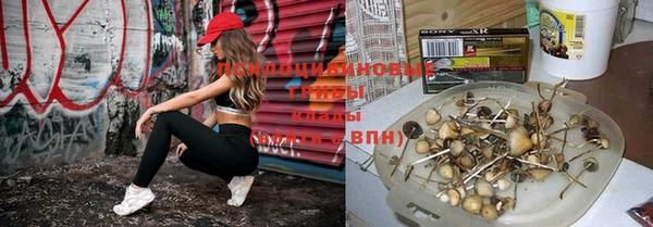 кокаин премиум Дмитриев