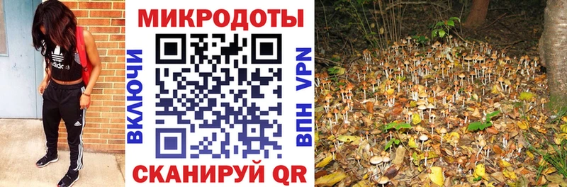 Псилоцибиновые грибы Cubensis  наркота  Чехов 